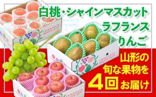 yR`R`szy4zt[cR`EVC}XJbgtX yߘa8NYs\zFS24-773  ʕ t[c R` R` R`s 2026NY