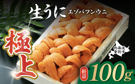 極上エゾバフンウニ折詰 100g・塩水パック 100g 食べ比べセット 生うに バフンウニ うに 高級 ウニ 雲丹 生ウニ エゾバフンウニ 塩水 人気  ふるさと納税 北海道 登別市 - 北海道登別市｜ふるさとチョイス - ふるさと納税サイト