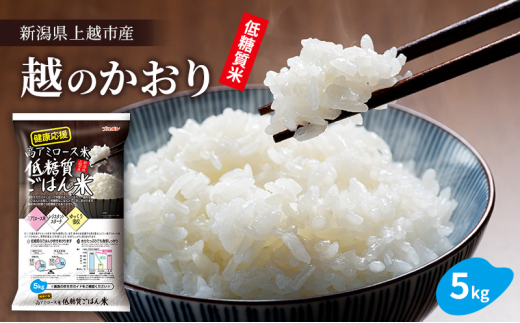 yVzszᓜ͂5kg (5kg×1) @ u{  zs 