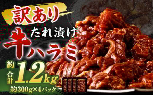 yszy2026N1zy󂠂z ` RN| Ђ n~ 1.2kg