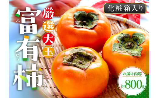 y쌧szI xL` ϔ 800gy2025-10{`2025-12{zz