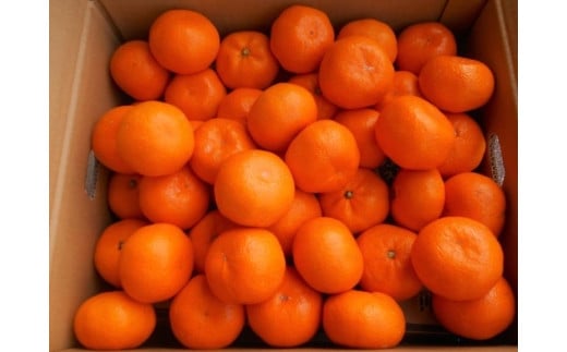 ya̎RߒqYzIBLc݂@Gi@10kg@TCY܂ikEMESjꂩ͂mSL43n