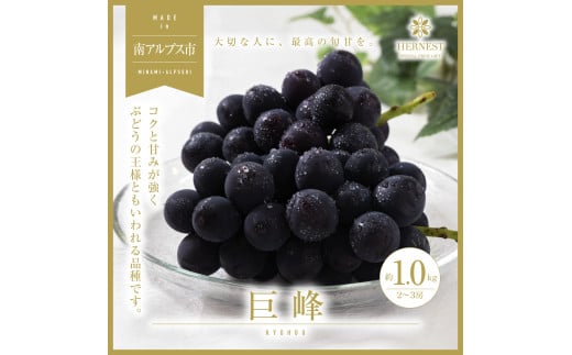 yRAvXsz2026Ns\񁄓AvXsY@{̍̂ꂽċ@2`3[@1kg ALPAH011