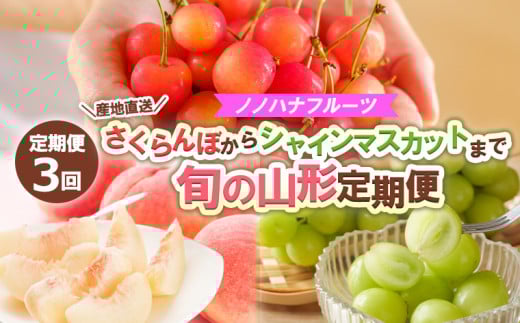 yR`R`szy3zmmnit[c ڂVC}XJbg܂ŁyYnz {̎R` yߘa8NYs\zFS24-718  ʕ t[c R` R` R