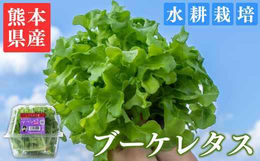 yF{蒬zu[P^X 6pbN 660g(110g×6p)×1 F{Y k͔| Iׂ e 