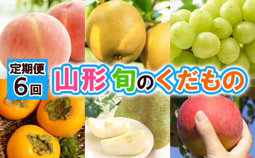 yR`R`szy6zR` {̂ yߘa8NYs\zFS24-796  ʕ t[c R` R` R`s 2026NY