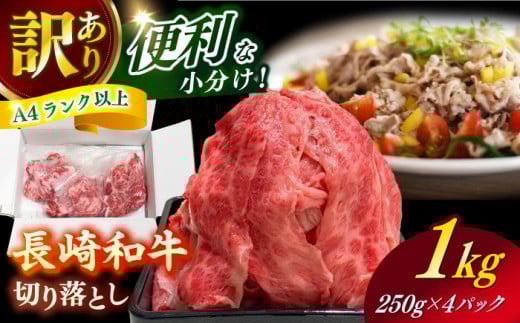 y茧Vܓzy󂠂z aioAA[X̂ꂩj1kg ؂藎Ƃ 250g×4P  yЎz [RCE009]