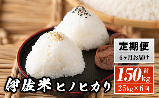 isa139 【定期便】鹿児島県産！伊佐米ヒノヒカリ(計150kg・25kg×6ヶ月) ふるさと納税 伊佐市 特産品 国産 白米 精米 伊佐米 お米  米 ひのひかり 定期便【神薗商店】 - 鹿児島県伊佐市｜ふるさとチョイス - ふるさと納税サイト