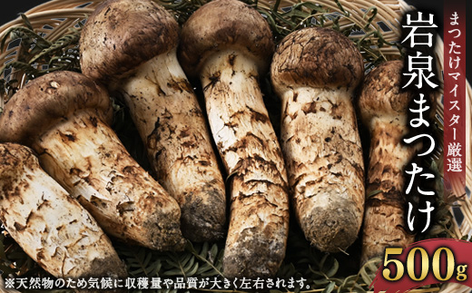 2026秋発送＞岩泉まつたけ 500g【1421537】 - 岩手県岩泉町｜ふるさと