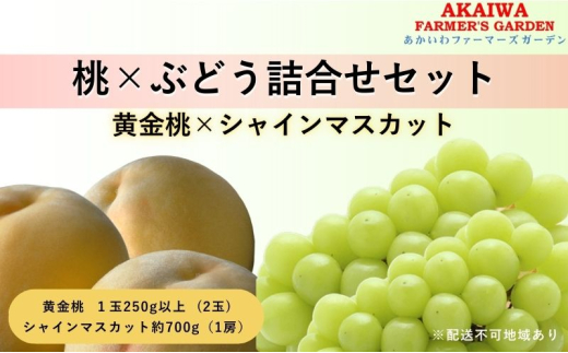 桃 ぶどう 詰合せ 2025年 先行予約 黄金 桃 2玉（1玉250g以上） シャイン マスカット 1房 約700g 岡山県 赤磐市産 フルーツ 果物  あかいわファーマーズガーデン - 岡山県赤磐市｜ふるさとチョイス - ふるさと納税サイト