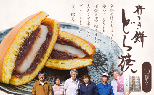 ふうれん特産館 杵つき もち入りどら焼き 10個入 もち米の里ふうれん