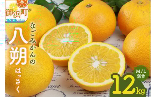 2026年発送 先行予約品】なごみかんの八朔12キロ【数量限定 配送2月