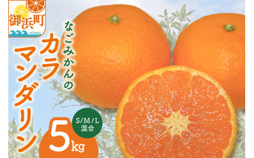 3月下旬より発送予定】なごみかんのカラマンダリン5キロ【数量限定