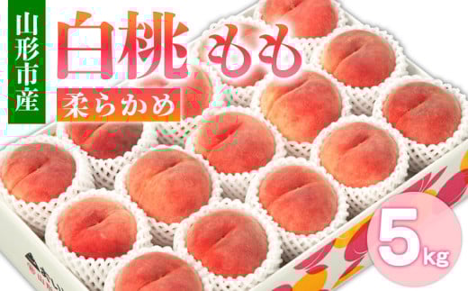 山形市産 富士りんご 秀 以上 5kg(14・16・18玉) FY25-845 山形市産 富士りんご 秀 以上 5kg(14・16・18玉) FY25-845