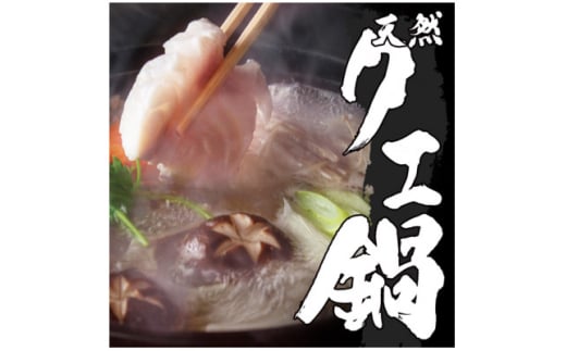 ya̎R{szVRNGZbg &R[QՂy1275188z