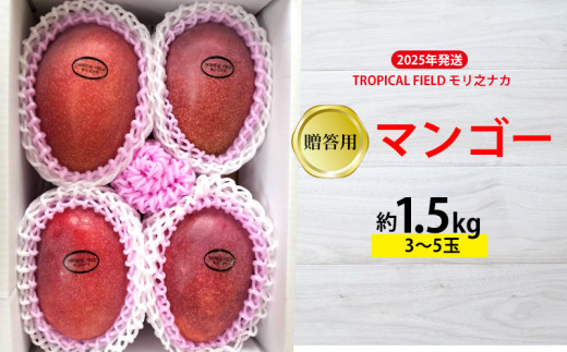 2025年発送【TROPICAL FIELD モリ之ナカ】贈答用マンゴー約2kg（4～6玉） フルーツ 果物 期間限定 数量限定 先行予約 南国  プレゼント お土産 おみやげ ギフト くだもの 沖縄 おきなわ 青果 デザート おすすめ 人気 冷蔵 夏 スイーツ - 沖縄県名護市｜ふるさとチョイス  ...