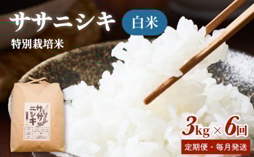 y{錧Ίszyցzʍ͔| TTjVL  3kg × 6 iv18kgj