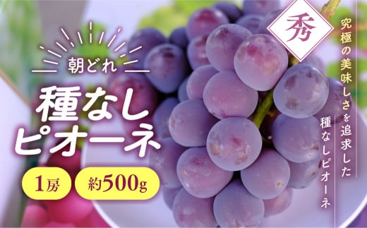 ころ柿 20個入り [山梨 ころ柿 季節限定] - 山梨県甲斐市｜ふるさとチョイス - ふるさと納税サイト