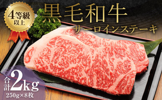 yF{v钬z܂ јa T[CXe[L 2.0kgi250g×8j  