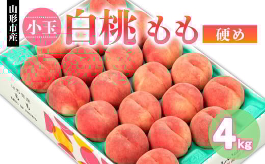 yR`R`szR`sY    d 4kg(18`22) yߘa8NYs\zFS24-750  ʕ t[c R` R` R`s 2026NY