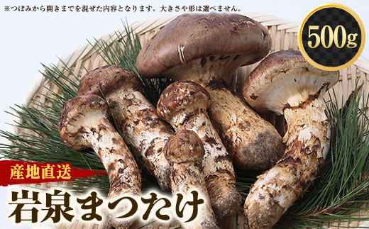 岩手県、松茸‼️ 令和7年10月分 岩手県産松茸 200 g 採れ次第発送｜松茸の商品
