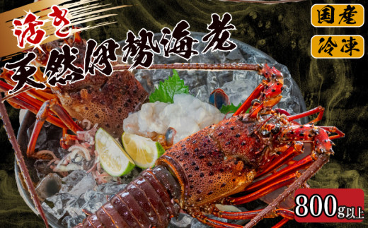訳あり　活締め　冷凍伊勢海老　大サイズ2キロ（4-6匹）〜 日付け指定可 訳あり 活〆冷凍伊勢海老 大サイズ2キロ（4-6匹