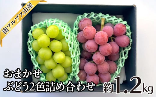 2025年発送分先行予約＞おまかせ ぶどう2色詰め合わせ約1.2kg ALPAJ047 - 山梨県南アルプス市｜ふるさとチョイス - ふるさと納税サイト