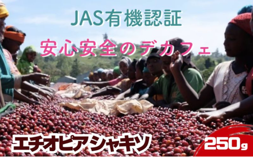 ysnczyfJtF&I[KjbNzG`IsA VL\ 250g hN R[q[ XyVeBR[q[  [5619-7930]1890