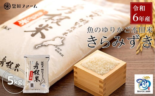 数量限定】令和6年産（新米）滋賀県認証！魚のゆりかご水田米「きぬむすめ」白米 5kg×2セット【柴田ファーム】｜お米 白米 近江米 米 きぬむすめ  こめ コメ ごはん 5キロ 10キロ 彦根 ひこね 滋賀 コメ ご飯 10kg お米 白米 米 おすすめ 5kg×2 おこめ お米 白米 ...