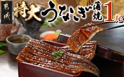 職人手焼きの本格うなぎ蒲焼き3尾_AC-3301_(都城市) 鰻蒲焼 3尾 (総重量450g以上) タレ付き (30ml×3個) 国産うなぎの蒲焼き  特製たれ付き 冷凍 ウナギ かば焼き - 宮崎県都城市｜ふるさとチョイス - ふるさと納税サイト