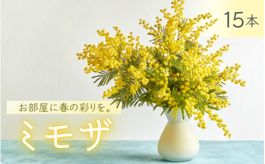 ya̎RI쒬zys\z ` t̖K ` ~U 15{qȂFarm a̎R I쒬r/    A v^[ t[ vg ԕr  AJVA ~U n[u v[g M