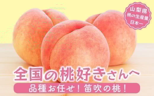【山梨県笛吹市】【ふるさとチョイス限定】【2026年発送★先行予約】山梨県産 旬の桃 2kg以上(5〜8玉)  180-004-cp
