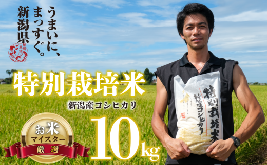 令和6年産】 コシヒカリ 10kg 5kg 2袋 新潟産 特別栽培米 コシヒカリ 斗伸 新潟県 コメ お米 米 こめ しんまい 新潟米 新潟 新発田  斗伸 - 新潟県新発田市｜ふるさとチョイス - ふるさと納税サイト