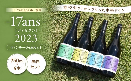 農林高校ワイン 17ans[ディセタン]2023 ヴィンテージ4本セット 高校生ワイン 赤ワイン 白ワイン チャレンジ 企画 飲み比べ 農林ワイン  高校生 甲斐市（AD-293） - 山梨県甲斐市｜ふるさとチョイス - ふるさと納税サイト