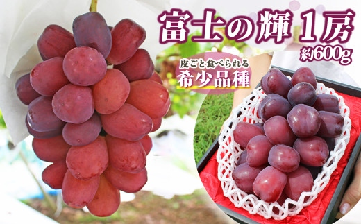 2026年発送☆先行予約】山梨県産 富士の輝 1房（約600g） 180-011