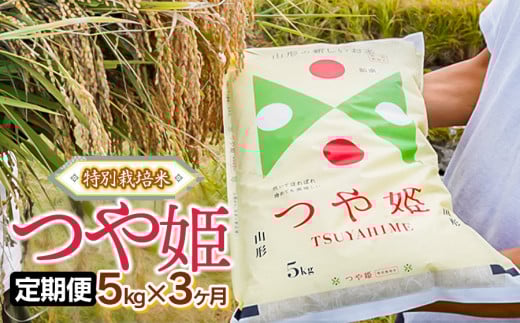 yR`߉szyցzߘa7NY ʍ͔| P  5kg×3 R`߉sY ЉÍ