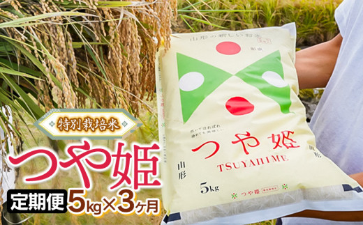 定期便】令和7年産 特別栽培米 つや姫 精米 5kg×3ヶ月 山形県鶴岡市産