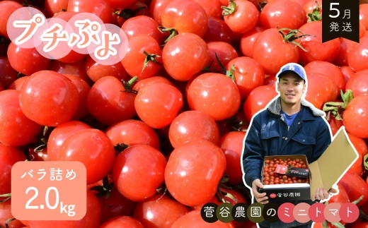 y錧gcsz~jg}giv`Ղj@ol2.0kgy5z