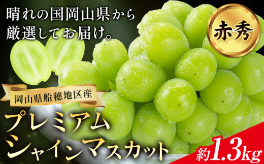 【岡山県浅口市】【2026年先行予約】ぶどう プレミアム シャインマスカット 船穂 赤秀品 晴王 2房約1.3kg《2026年9月中旬-10月中旬頃出荷》晴レ乃青果 (岡山中央卸売市場店(富士紙工 有限会社)