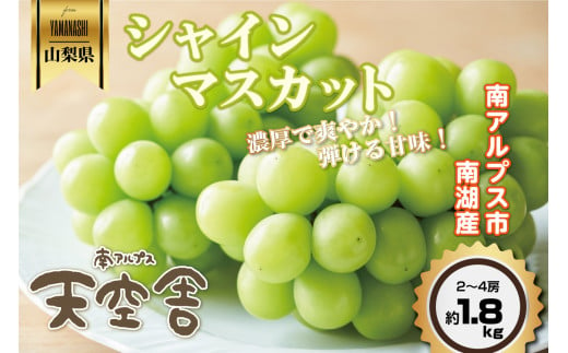 ☆日本テレビ「ZIP！」で取り上げられました！☆【令和7年発送先行予約】絶品！南アルプス市産シャインマスカット1.8kg ALPAA004 | 山梨  山梨県 ぶどう 葡萄 ブドウ マスカット 種なし 大粒 フルーツ くだもの 果物 高級 新鮮 産地直送 贈答 ギフト 家庭用 1.8キロ 2025年  ...