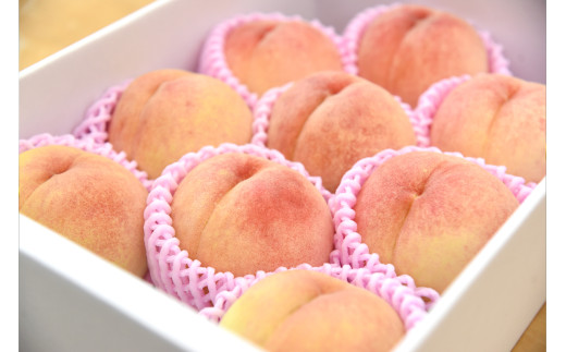 yR`Vsz08-10-022@d@(i킨܂) 3kg