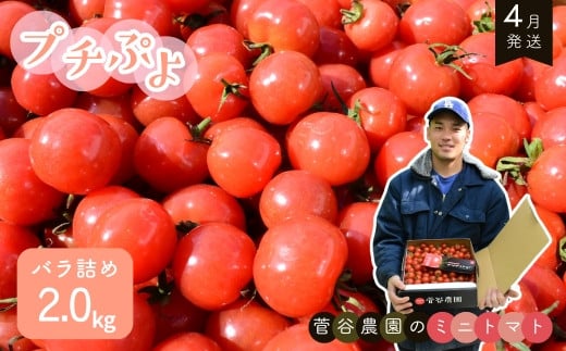 y錧gcsz~jg}giv`Ղj@ol2.0kgy4z