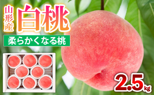 yR`R`szR`Y   [_炩Ȃ铍] 2.5kg(7`10) Gi i킨܂ yߘa8NYs\zFS25-603  ʕ t[c R` R` R`s 2026NY