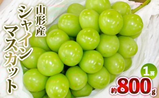 yR`R`szR`Y VC}XJbg 800g 1[ Gi yߘa8NYs\zFS25-607  ʕ t[c R` R` R`s 2026NY