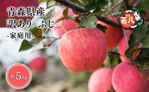 yXszT`V@󂠂@ƒp@r񂲂ӂ5kg@yX s }WTAbvz5`7 X XY   S ь  ʕ t[c