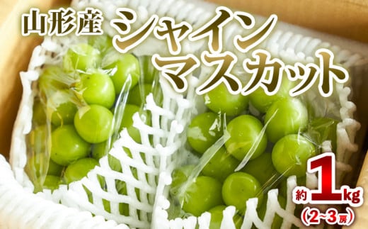 yR`R`szR`Y VC}XJbg 1kg (2`3[) Gi yߘa8NYs\zFS25-606  ʕ t[c R` R` R`s 2026NY