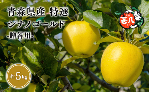 yXszU@I@r񂲃VimS[hTkg@yX s }WTAbvzU X XY   S ь  ʕ t[c