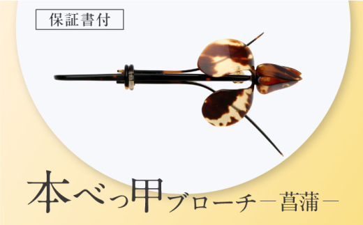 y茧z{ׂbu[`iҊj 茧/c^ [42AAAY049]