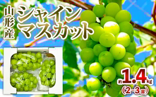 yR`R`szR`Y VC}XJbg 1.4kg (2`3[) Gi yߘa8NYs\zFS25-605  ʕ t[c R` R` R`s 2026NY