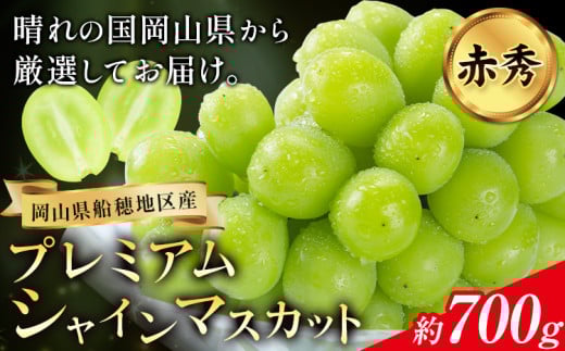 【岡山県浅口市】【2026年先行予約】ぶどう プレミアム シャインマスカット 船穂 赤秀品 晴王 1房約700g《2026年9月中旬-10月中旬頃出荷》晴レ乃青果 (岡山中央卸売市場店(富士紙工 有限会社))